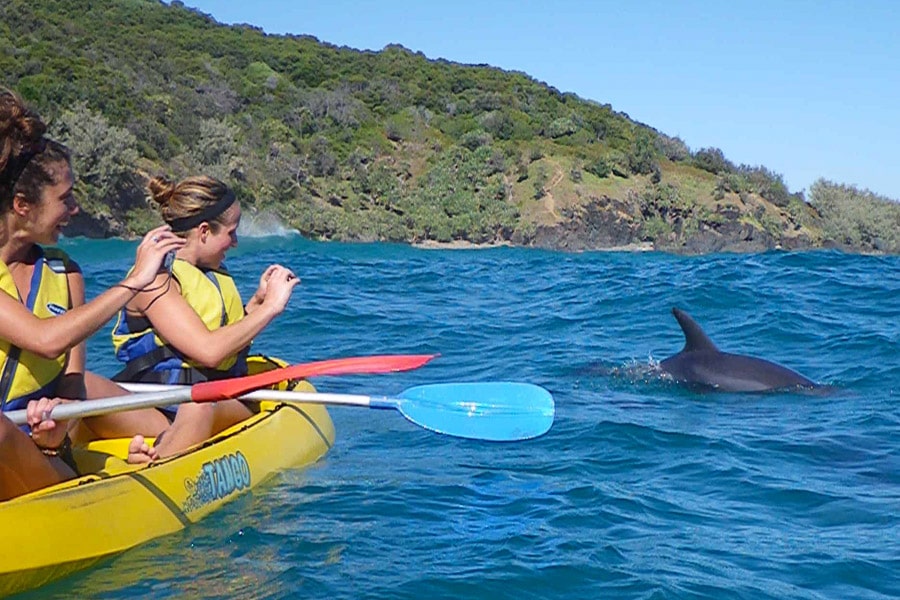 /assets/experiences/dolphin-kayak.jpg Experience | East Coast Tours Australia