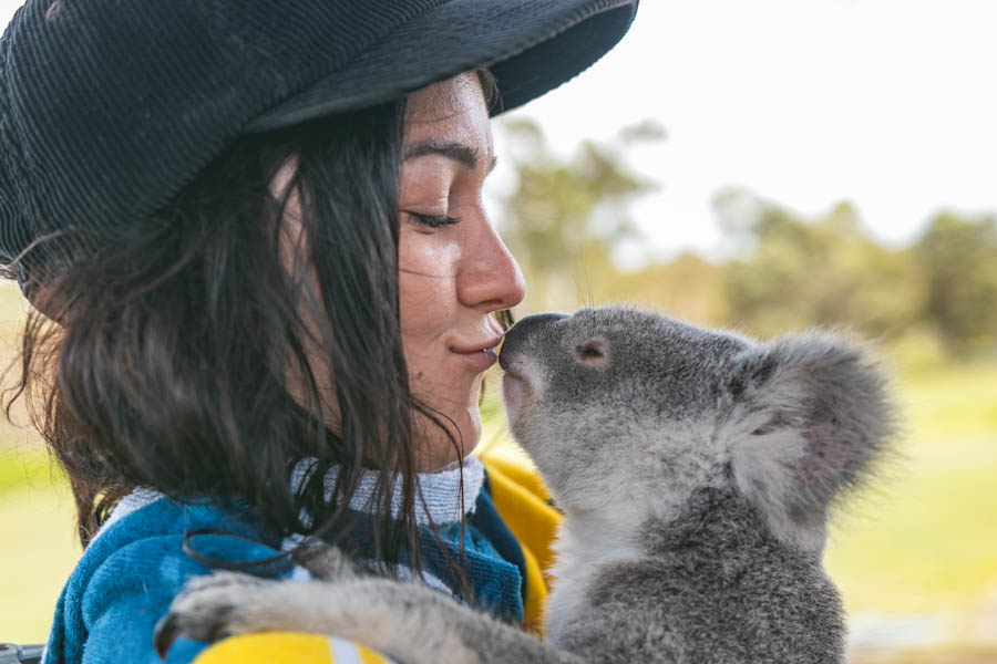 /assets/experiences/koala.jpg Experience | East Coast Tours Australia